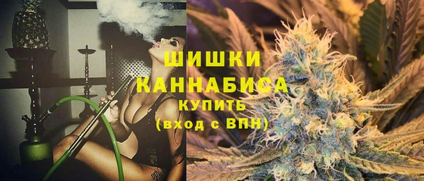 твердый Корсаков